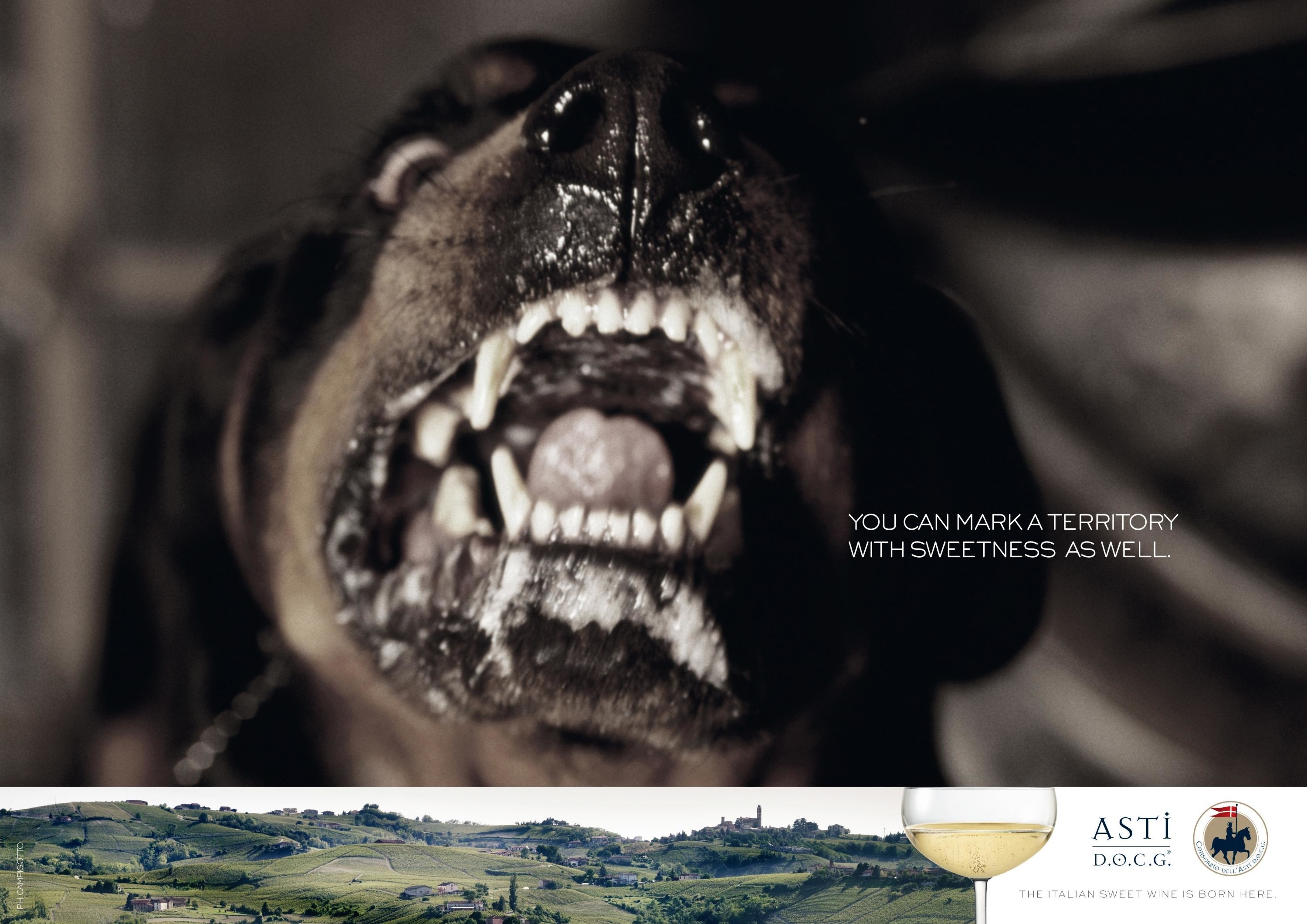 CONSORTIUM FOR THE PROTECTION AND PROMOTION OF ITALIAN SWEET SPARKLING WINE ASTI