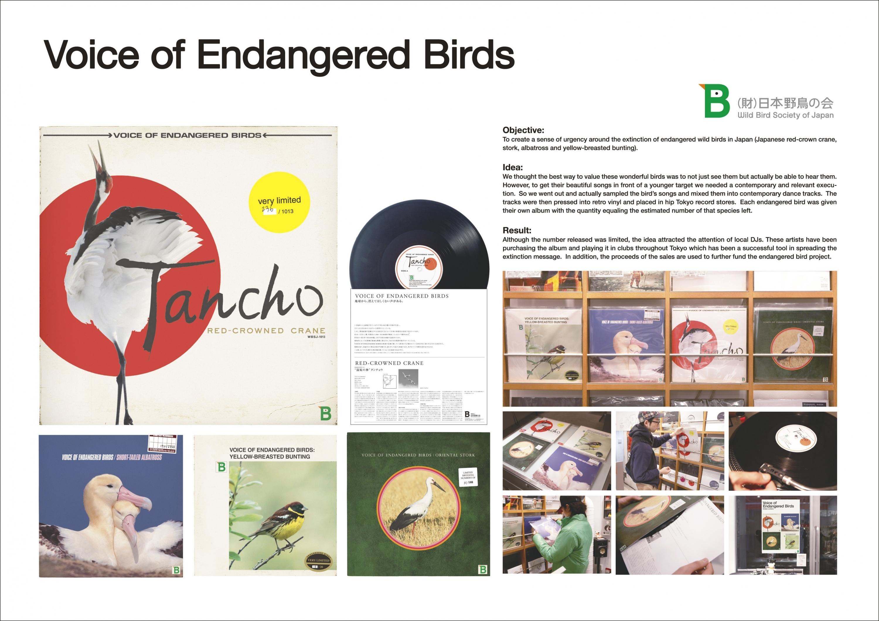 VOICE OF ENDANGERED BIRDS