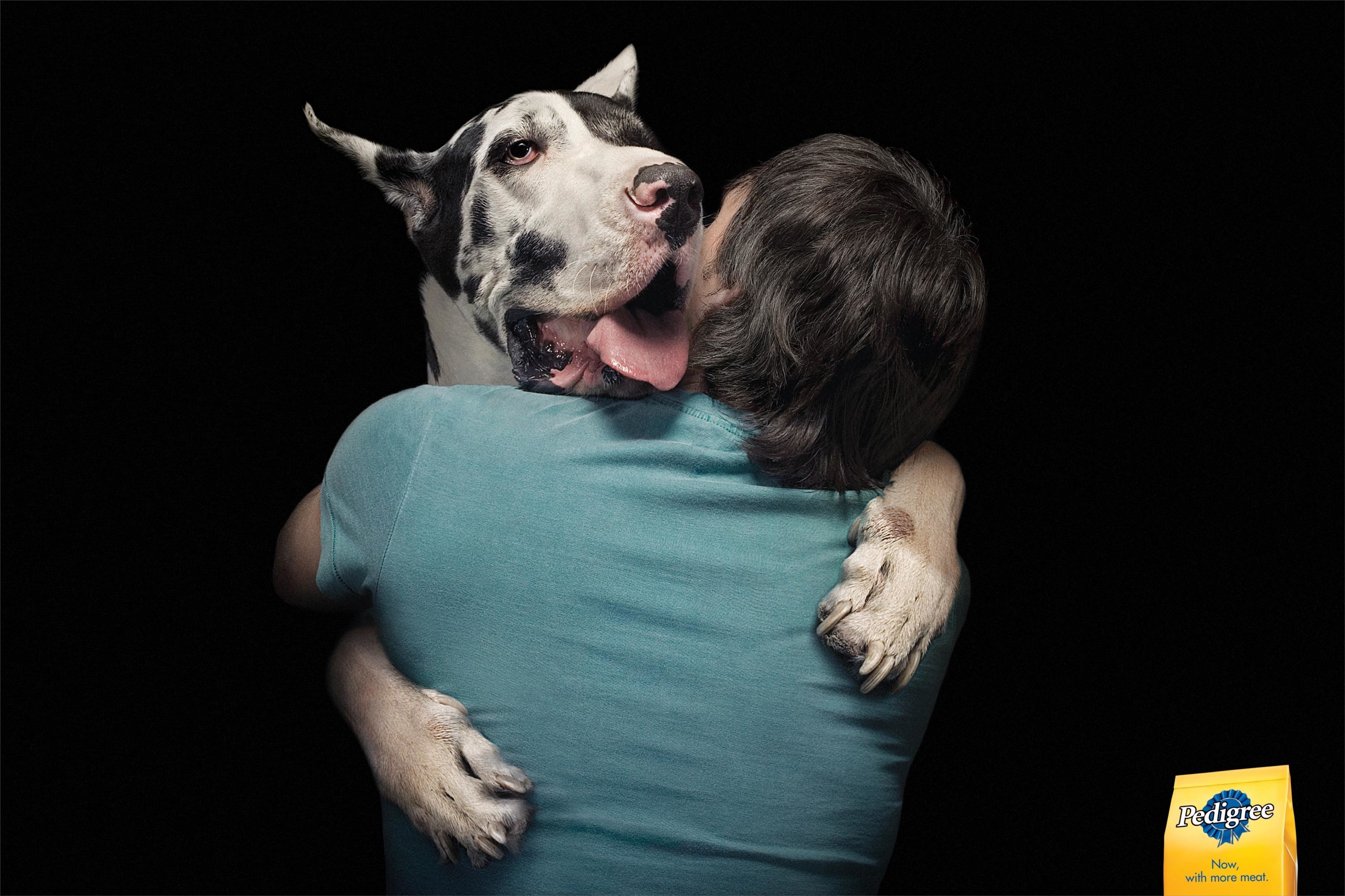 Почему собаки лучше людей. Собака друг человека. Собака лучший друг человека. Собака - лучший друг. Человек с собакой.
