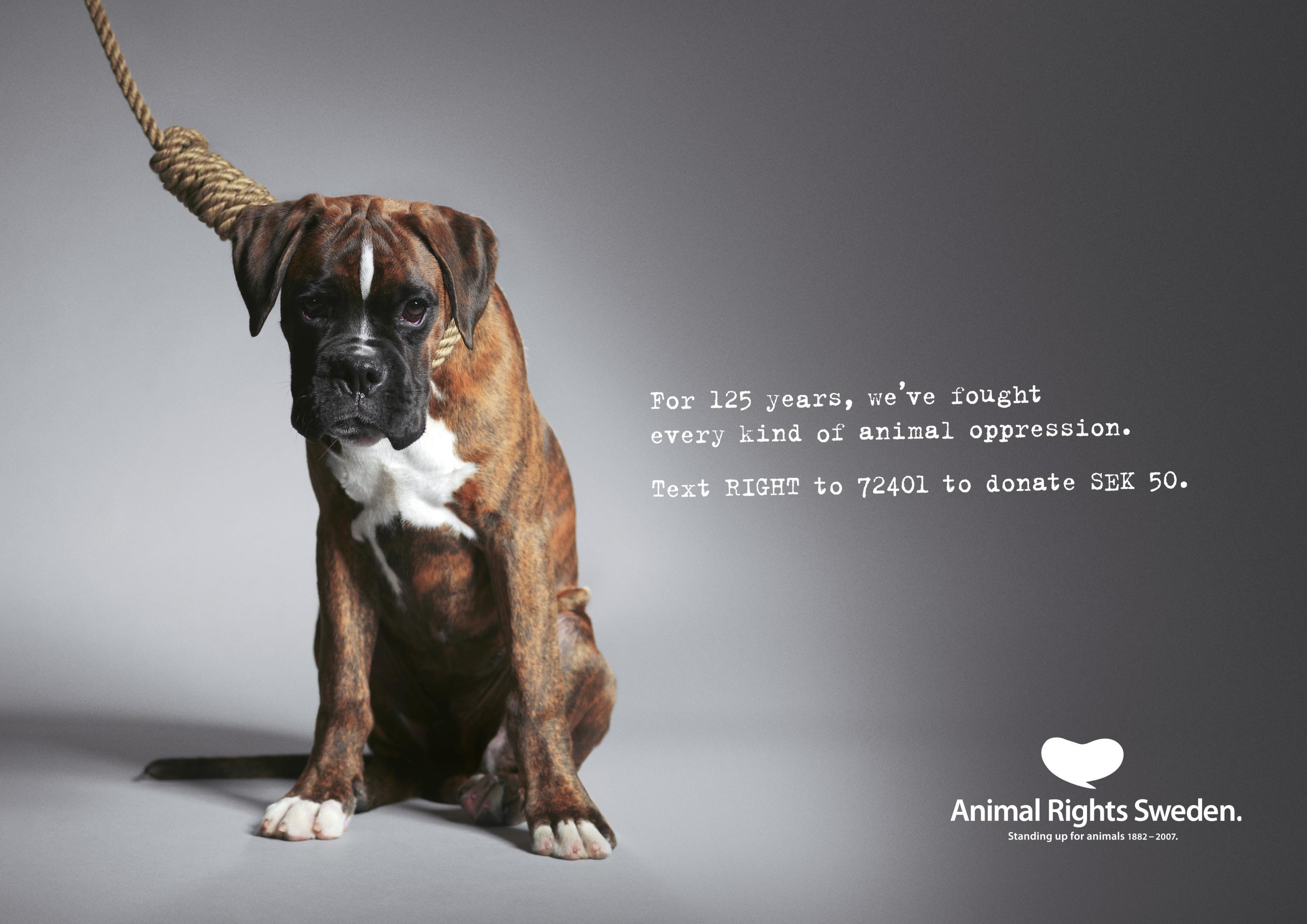 ANIMAL RIGHTS ORGANISATION
