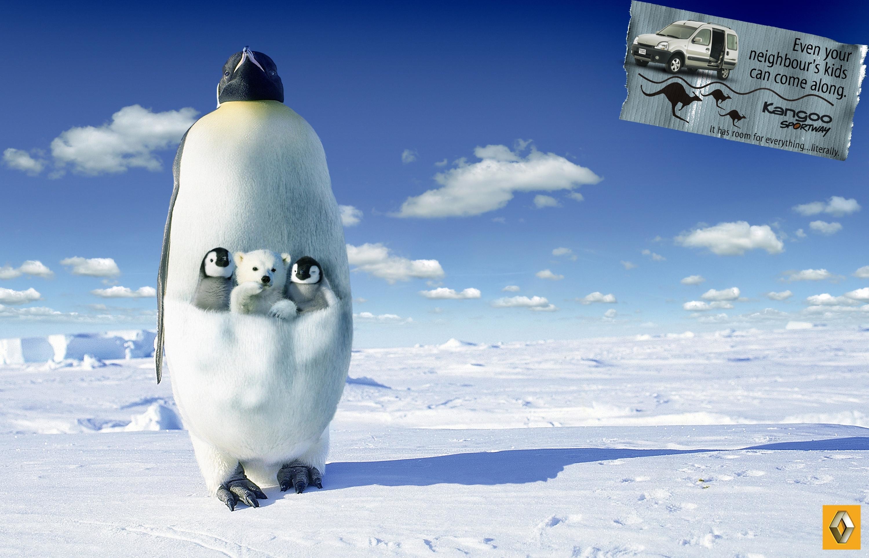 Реклама с пингвинами