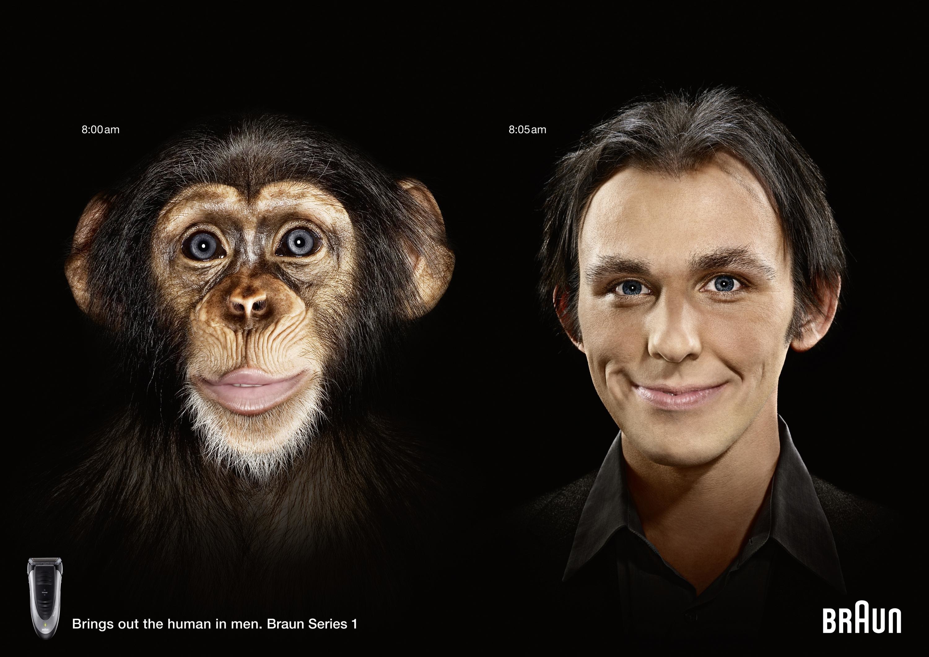 Шимпанзе отличается от человека. Мужчина похожий на обезьяну. Превращение обезьяны в человека.