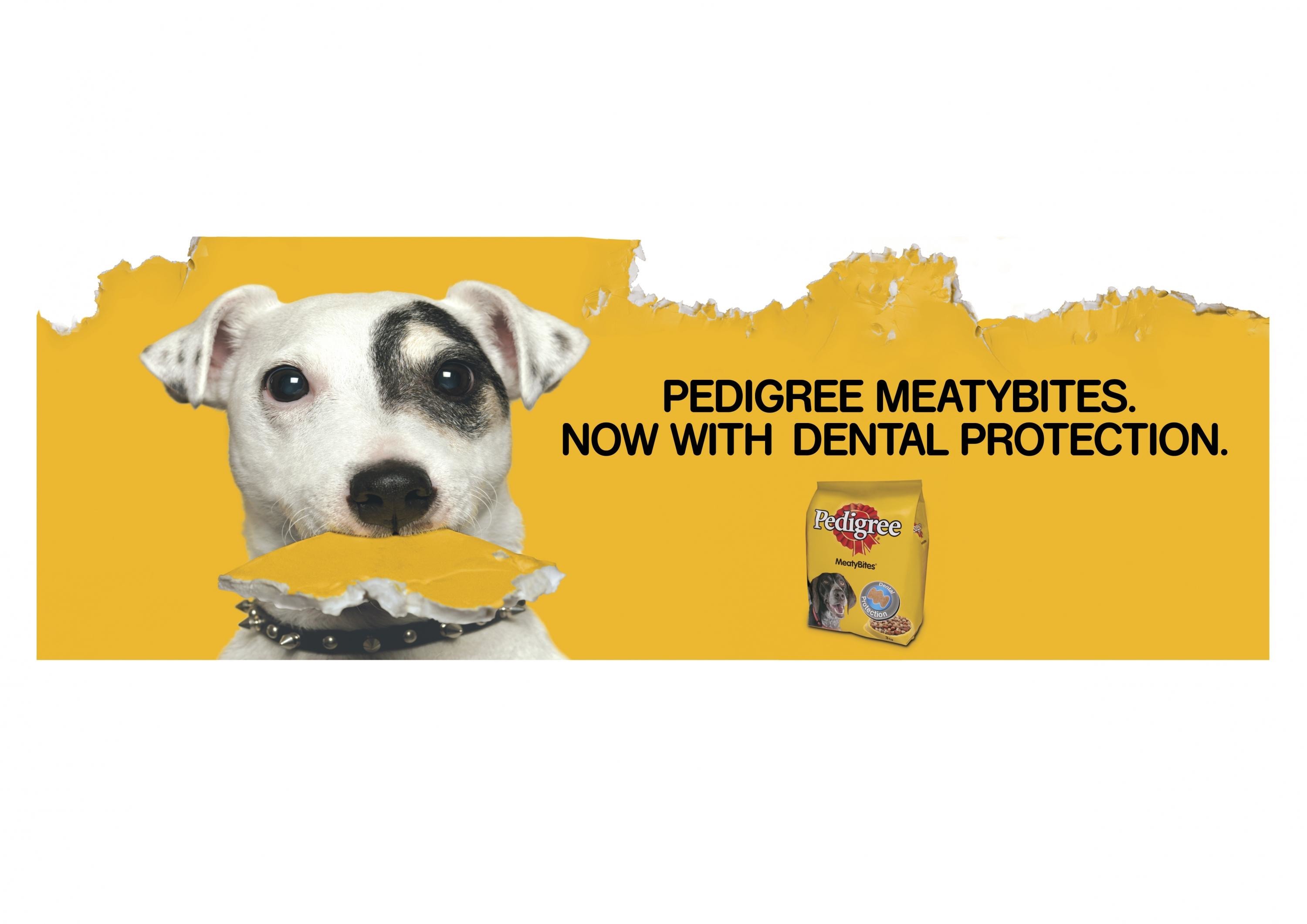 DOG FOOD WITH DENTAL PROTECTION