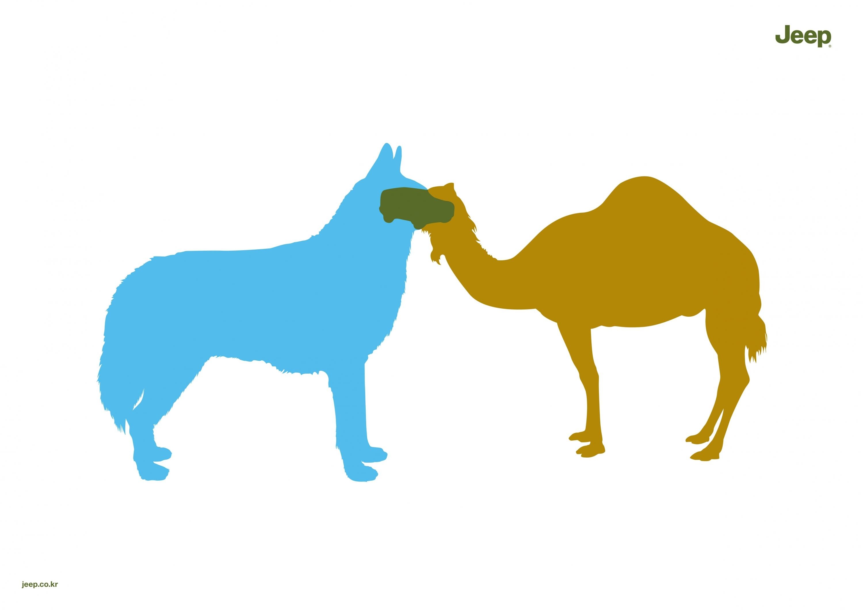 HUSKY & CAMEL