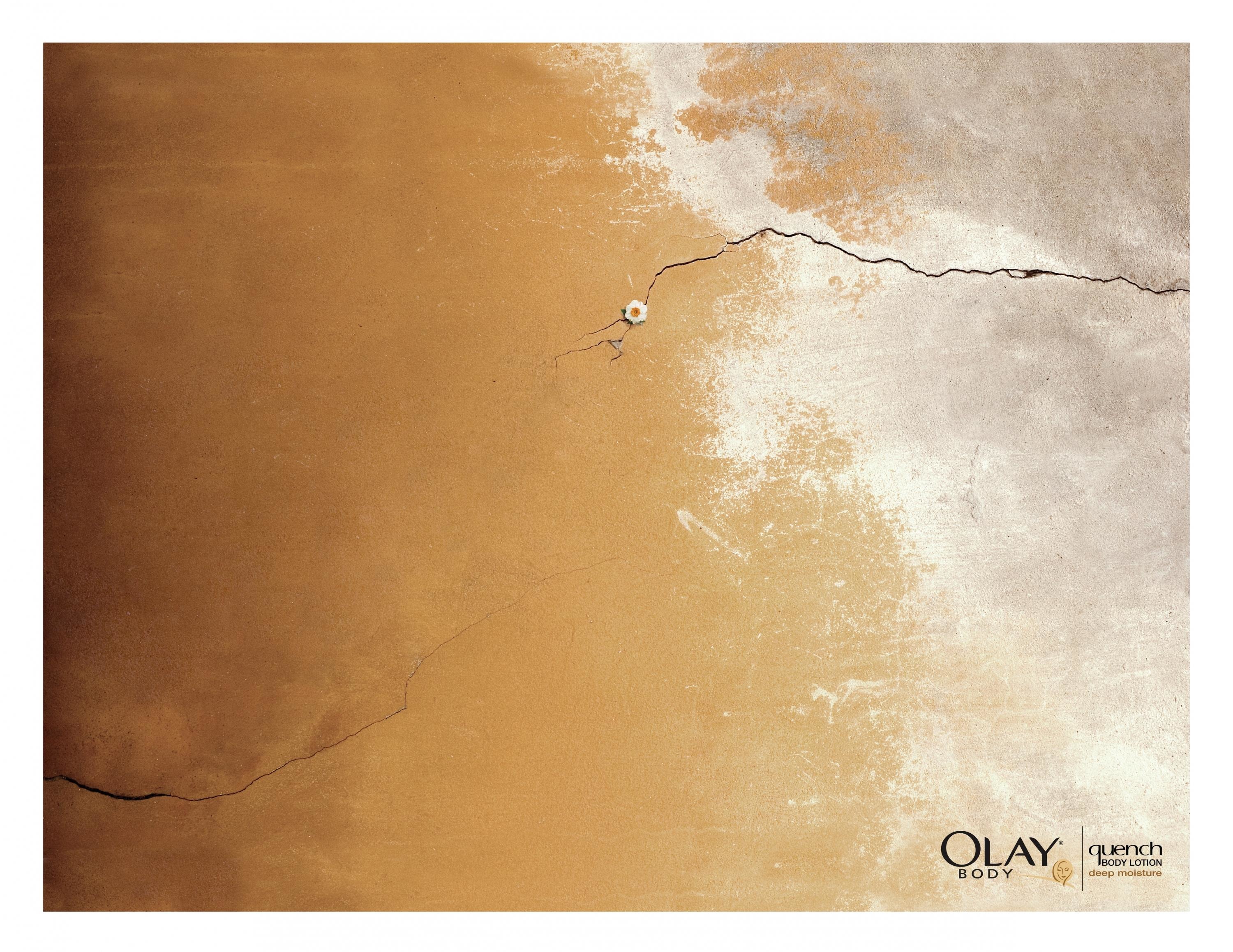 OLAY/QUENCH BODY LOTION