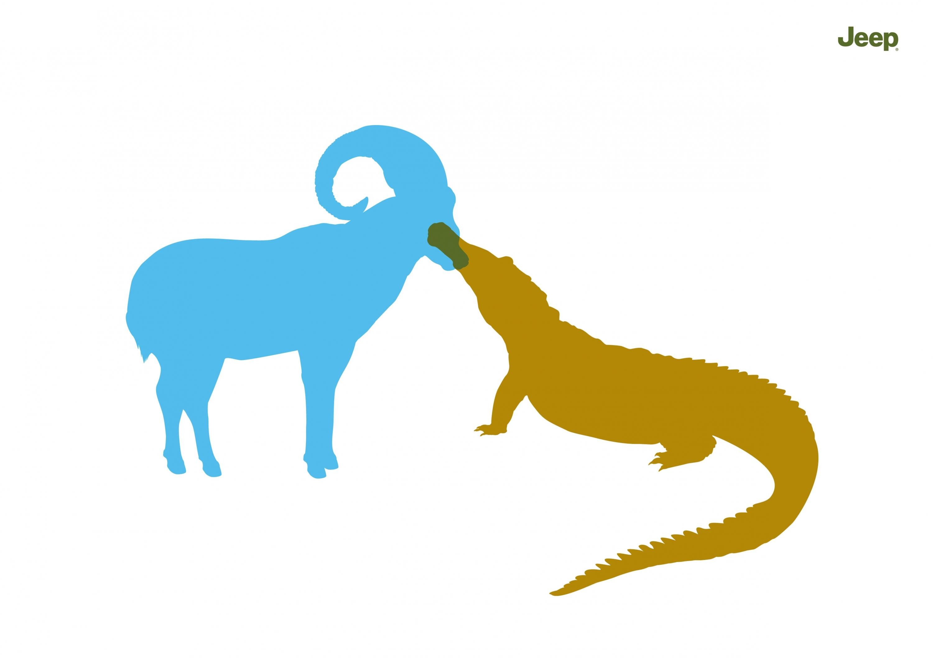 MOUNTAIN GOAT & CROCODILE