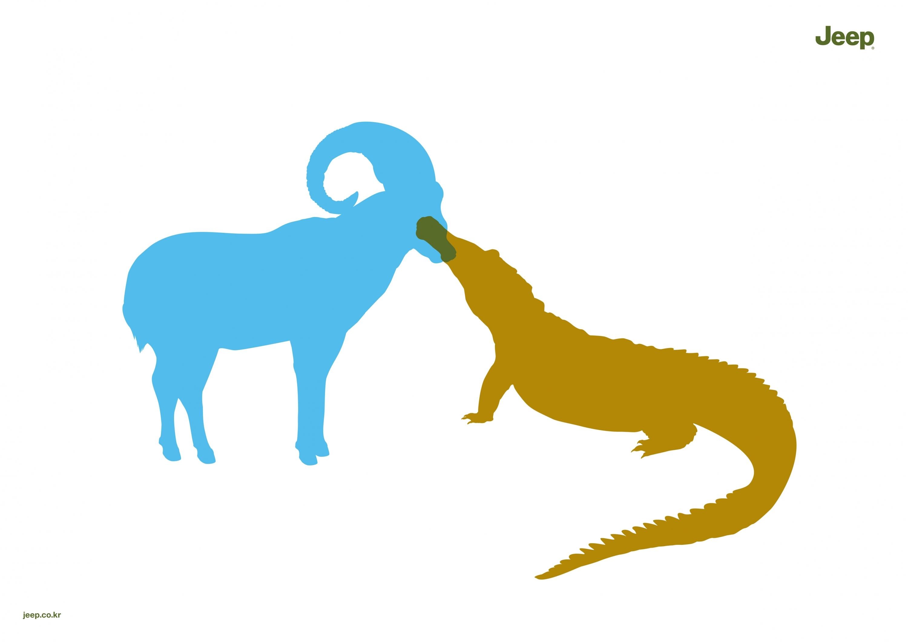 MOUNTAIN GOAT & CROCODILE