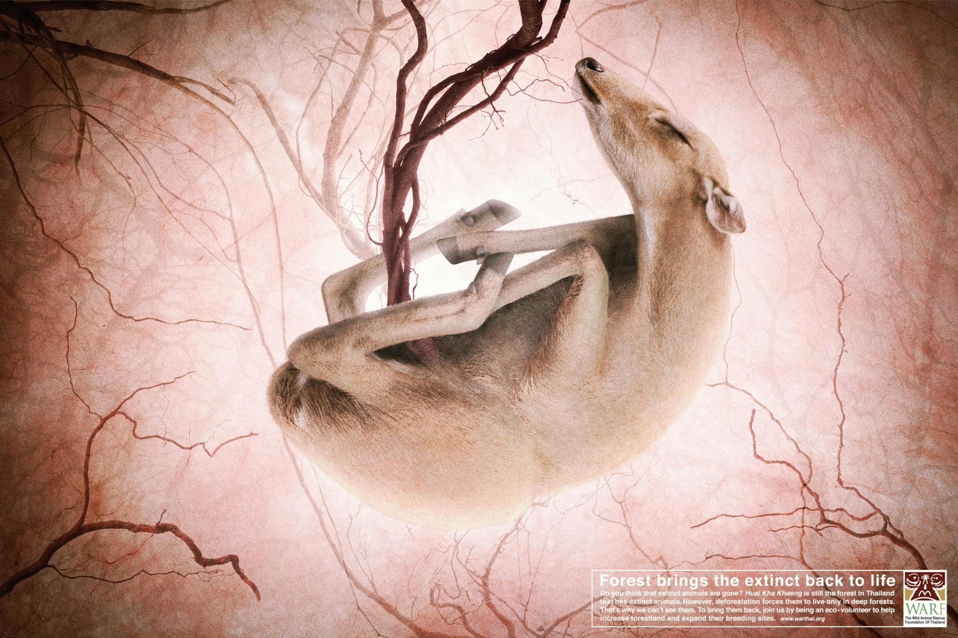 Плакат метафора. Животные вымирание экология. Социальная реклама на тему вымирания животных. Да скорее всего он проснулся именно метафора
