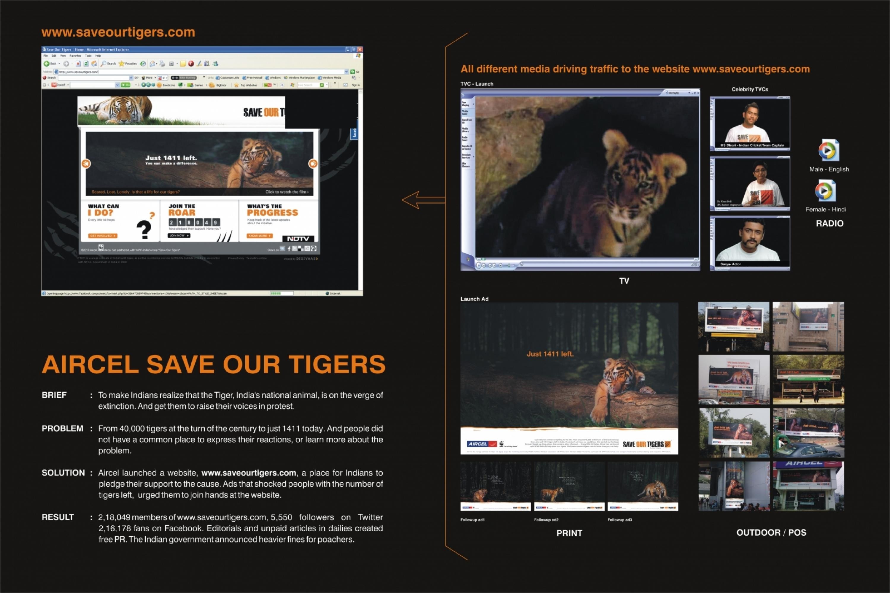 TIGERS CONSERVATION