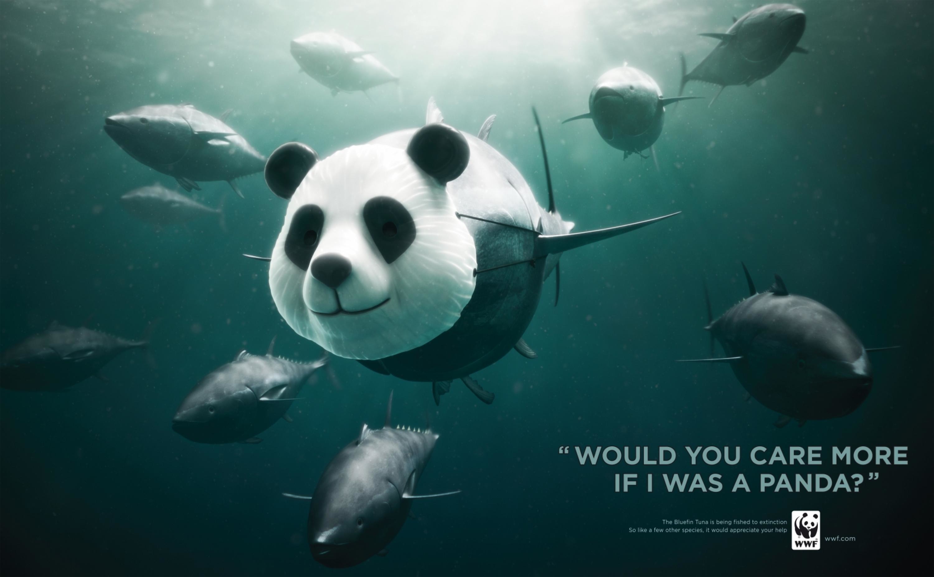 The world wildlife fund is. Социальная реклама Всемирного фонда дикой природы. Всемирный фонд дикой природы WWF реклама. WWF плакаты. Креативные социальные плакаты.