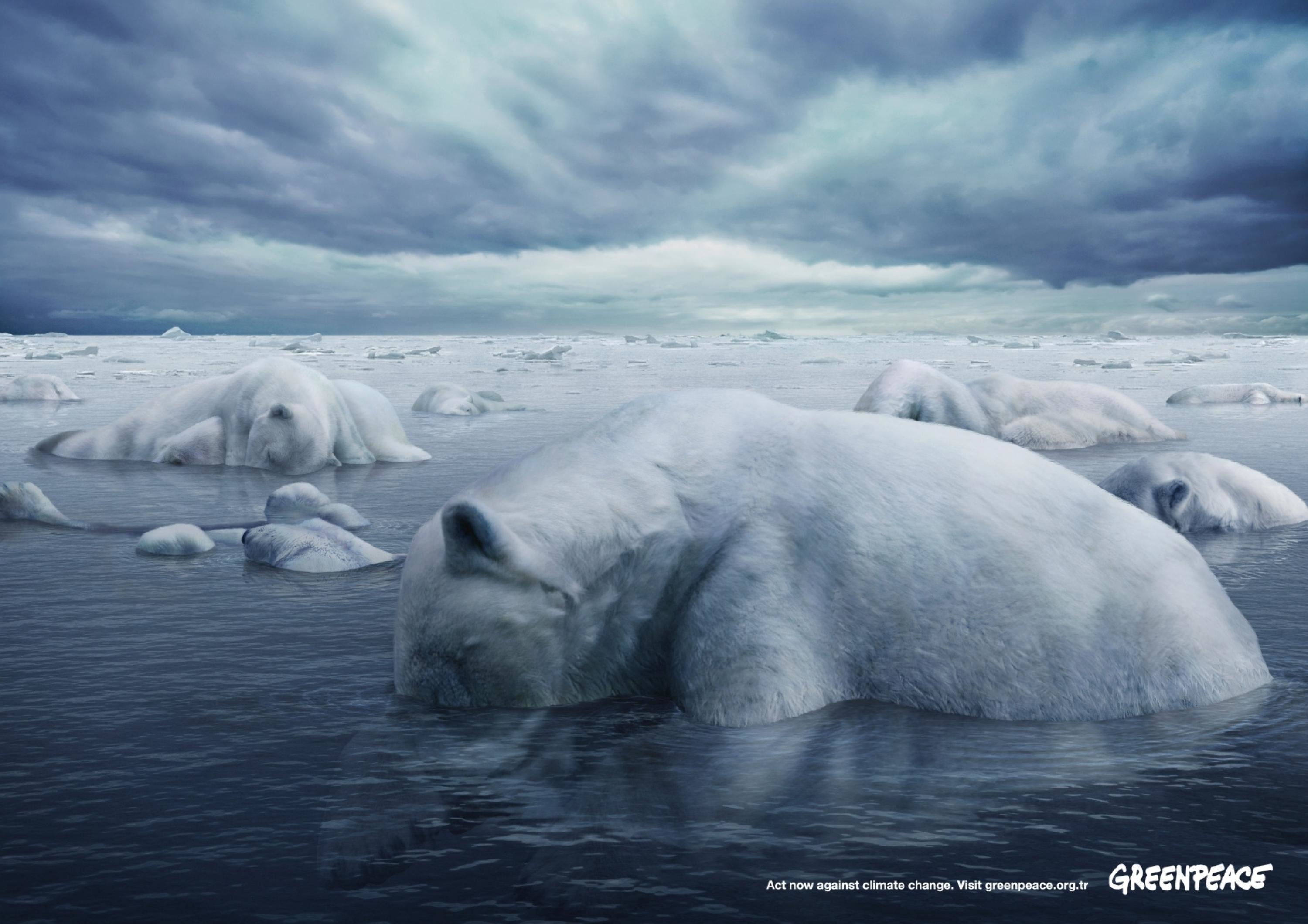 The great warming. Медведь Гринпис белый медведь Гринпис. Потепление климата. Таяние ледников белые медведи. Глобальное потепление белые медведи.