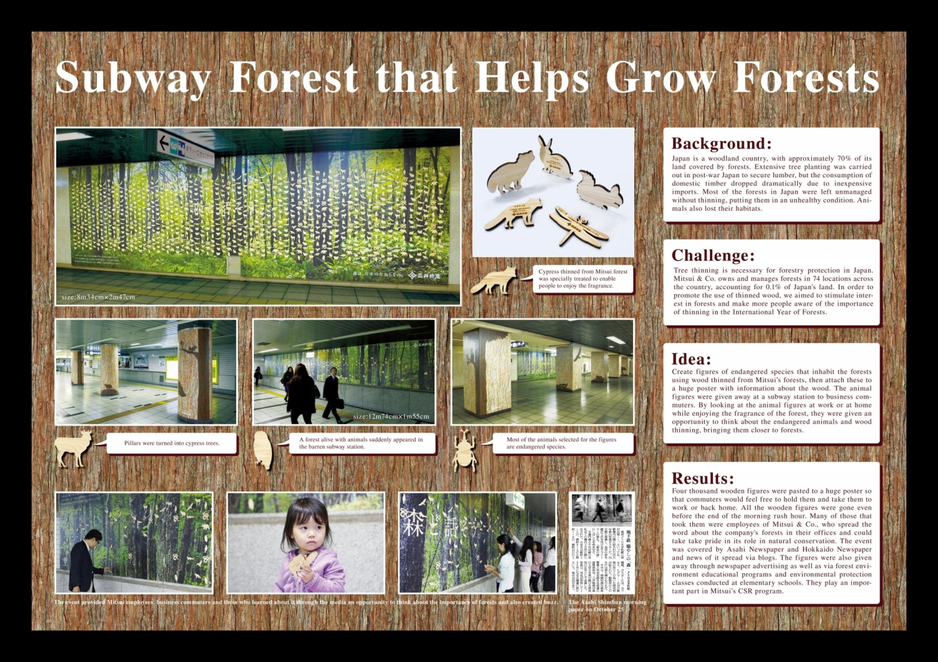 MITSUI'S FORESTS