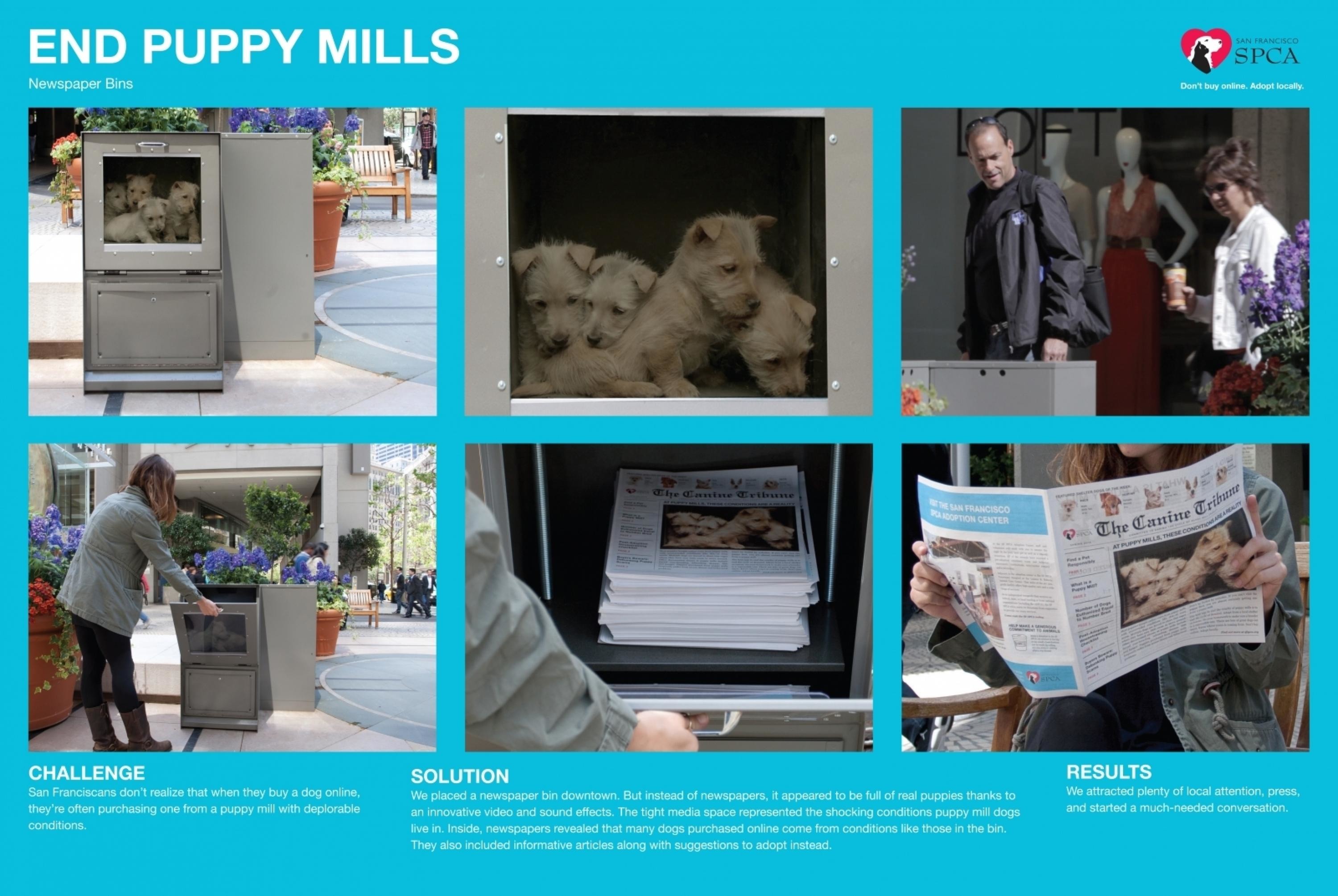 END PUPPY MILLS - NEWSPAPERS